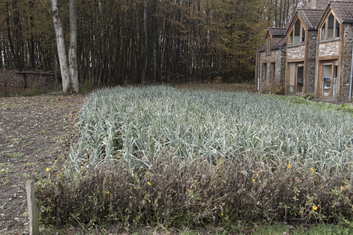 Tibériade