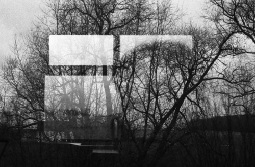 Snapshots